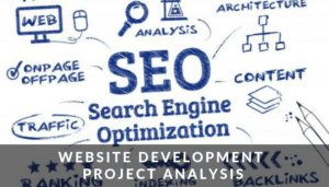 Website Development Project Analysis